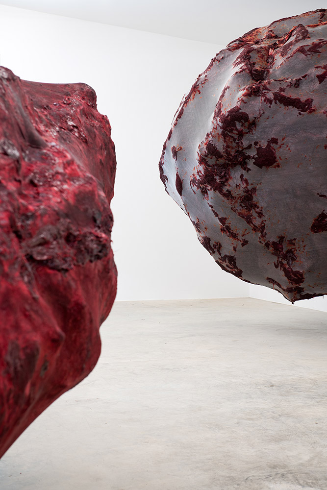 Anish Kapoor - 